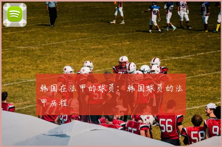 韩国在法甲的球员：韩国球员的法甲历程