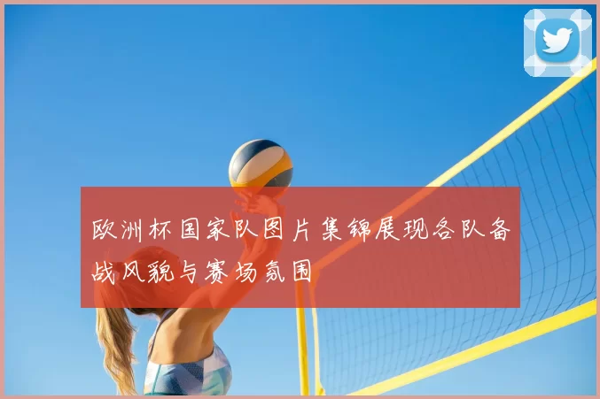 欧洲杯国家队图片集锦展现各队备战风貌与赛场氛围