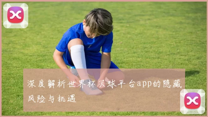 深度解析世界杯买球平台app的隐藏风险与机遇