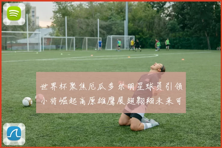 世界杯聚焦厄瓜多尔明星球员引领小将崛起高原雄鹰展翅翱翔未来可期