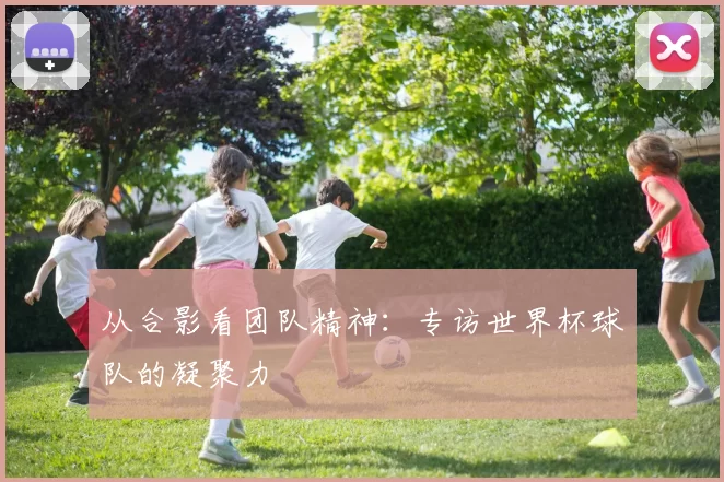 从合影看团队精神：专访世界杯球队的凝聚力