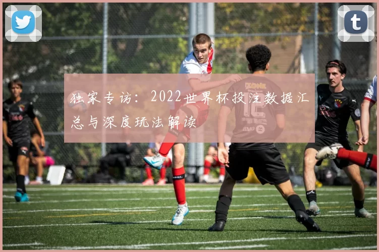 独家专访：2022世界杯投注数据汇总与深度玩法解读
