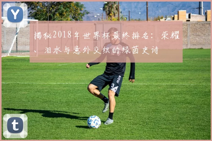 揭秘2018年世界杯最终排名：荣耀、泪水与意外交织的绿茵史诗