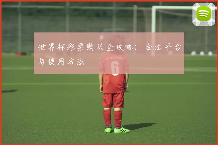 世界杯彩票购买全攻略：合法平台与使用方法