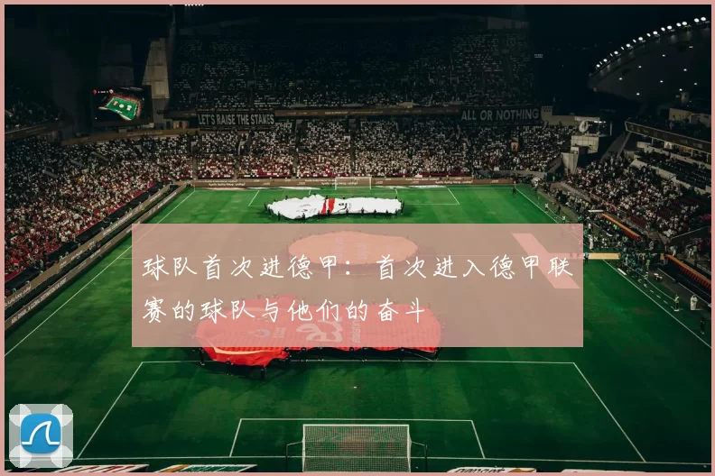 球队首次进德甲：首次进入德甲联赛的球队与他们的奋斗