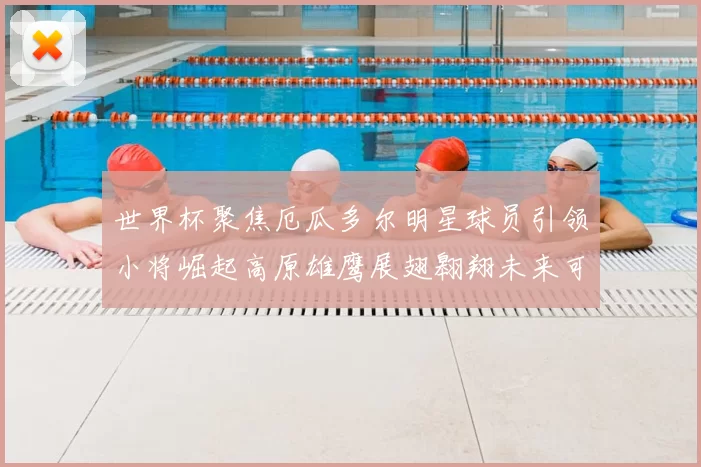 世界杯聚焦厄瓜多尔明星球员引领小将崛起高原雄鹰展翅翱翔未来可期