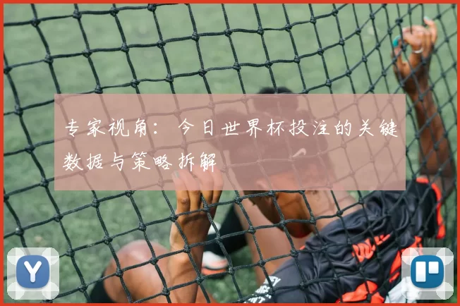 专家视角：今日世界杯投注的关键数据与策略拆解