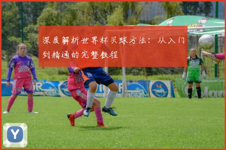 深度解析世界杯买球方法：从入门到精通的完整教程