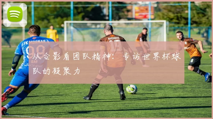 从合影看团队精神：专访世界杯球队的凝聚力