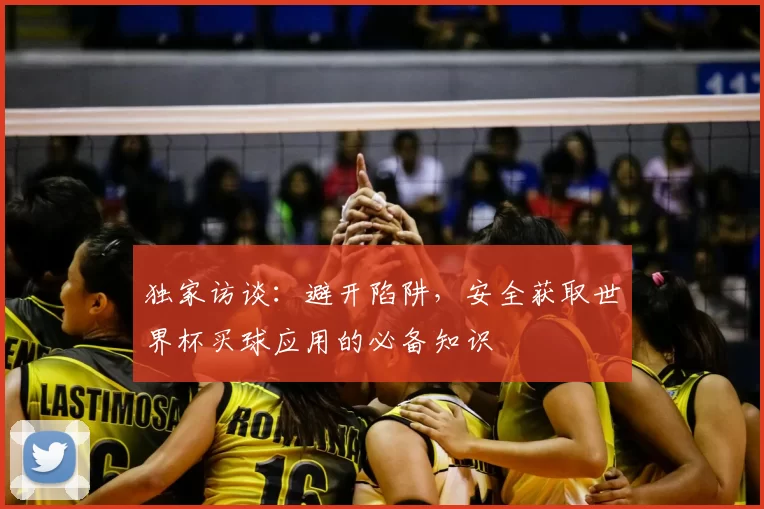 独家访谈：避开陷阱，安全获取世界杯买球应用的必备知识
