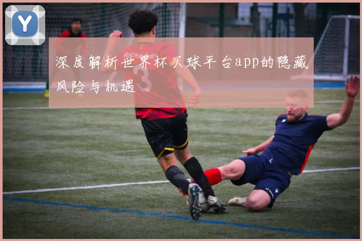 深度解析世界杯买球平台app的隐藏风险与机遇