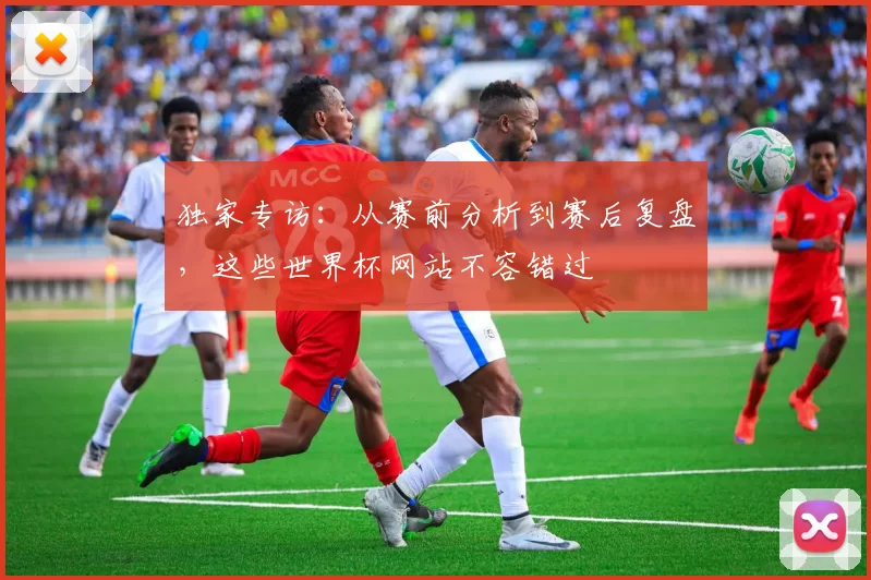 独家专访：从赛前分析到赛后复盘，这些世界杯网站不容错过
